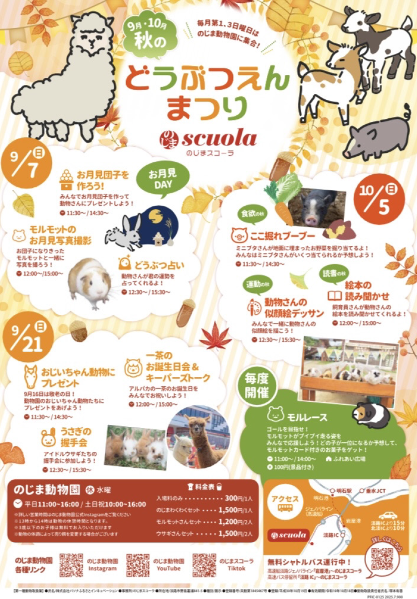 どうぶつえんまつりチラシ