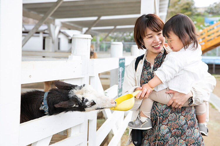 屋外 のじま動物園 のじまスコーラ