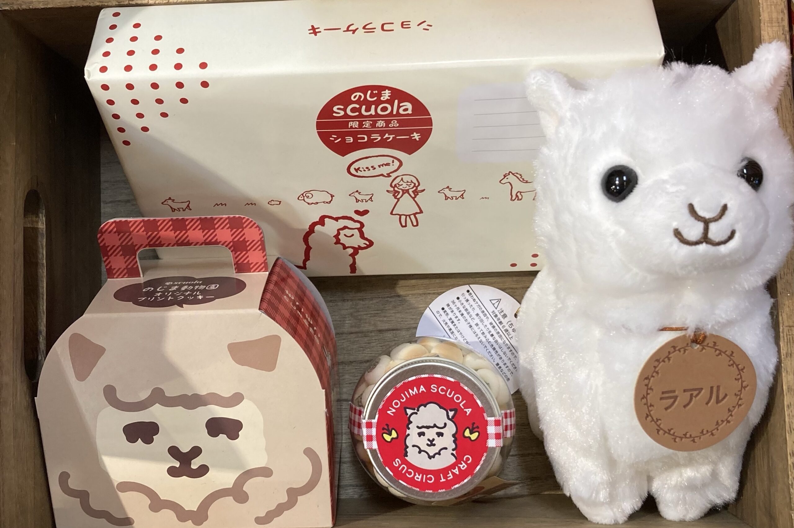 Masi スペチャーレ　ランドナー　東広島市手渡し限定 Masi スペチャーレ ランドナー 東広島市手渡し限定