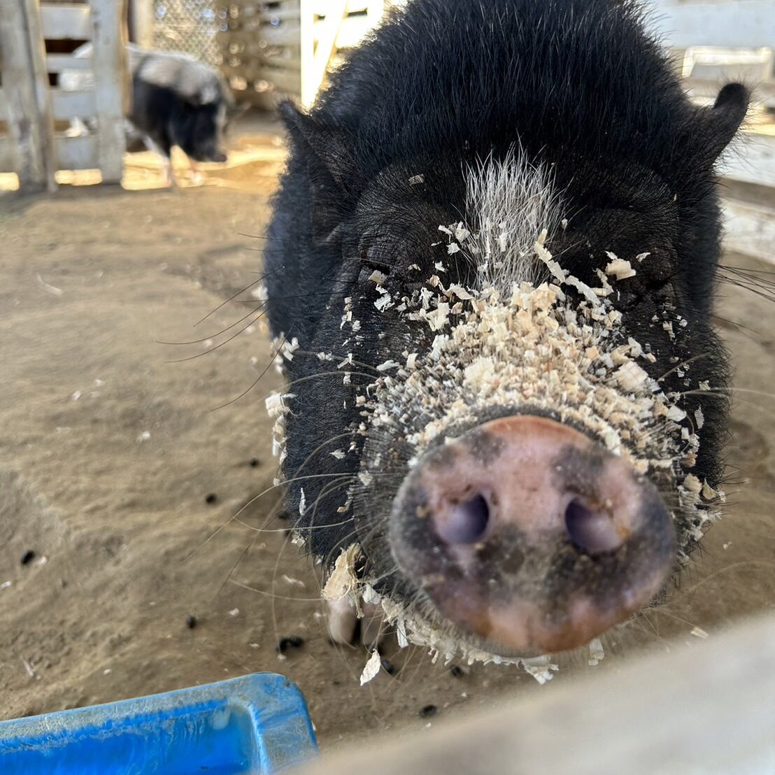 ≪飼育員が選ぶお気に入りの１枚≫