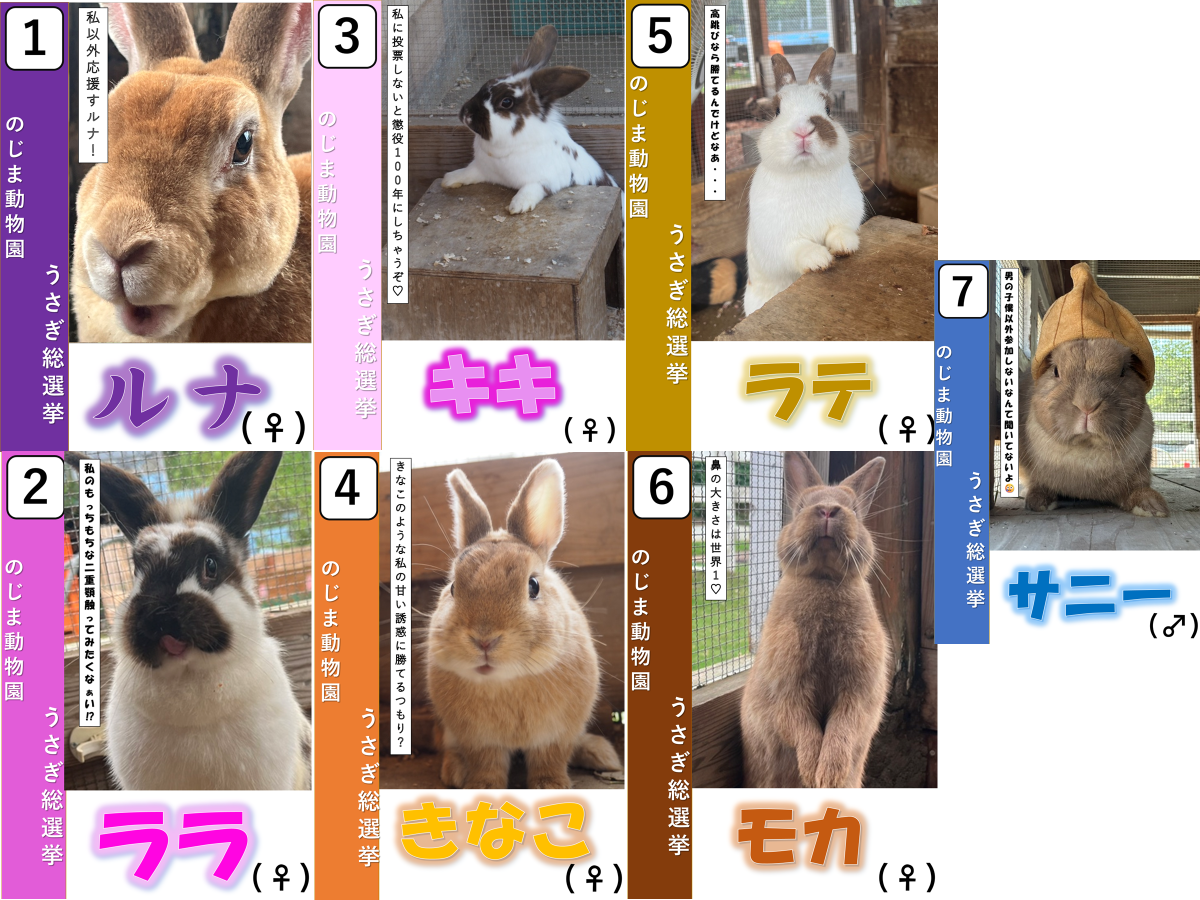 うさぎ様確認ページ image.png