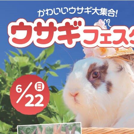 【4月のうさぎ出品】 これから本番！ひかりのうさぎ！ - LISA LARSON