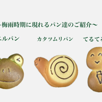梅雨時のパン