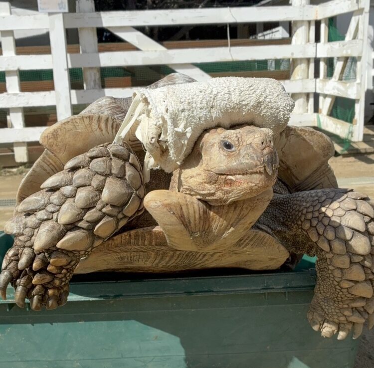 ≪飼育員が選ぶお気に入りの1枚≫
